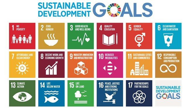 SDG infographic